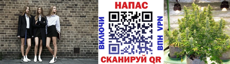 Каннабис семена  как найти наркотики  Стрежевой 